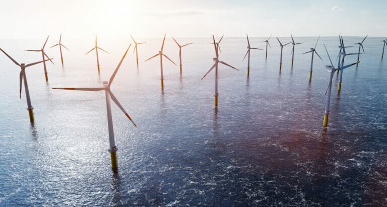 Offshore wind turbine array